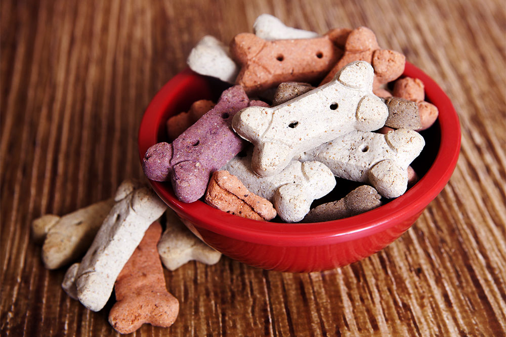 5 Simple Tips for Picking Healthy Dog Food