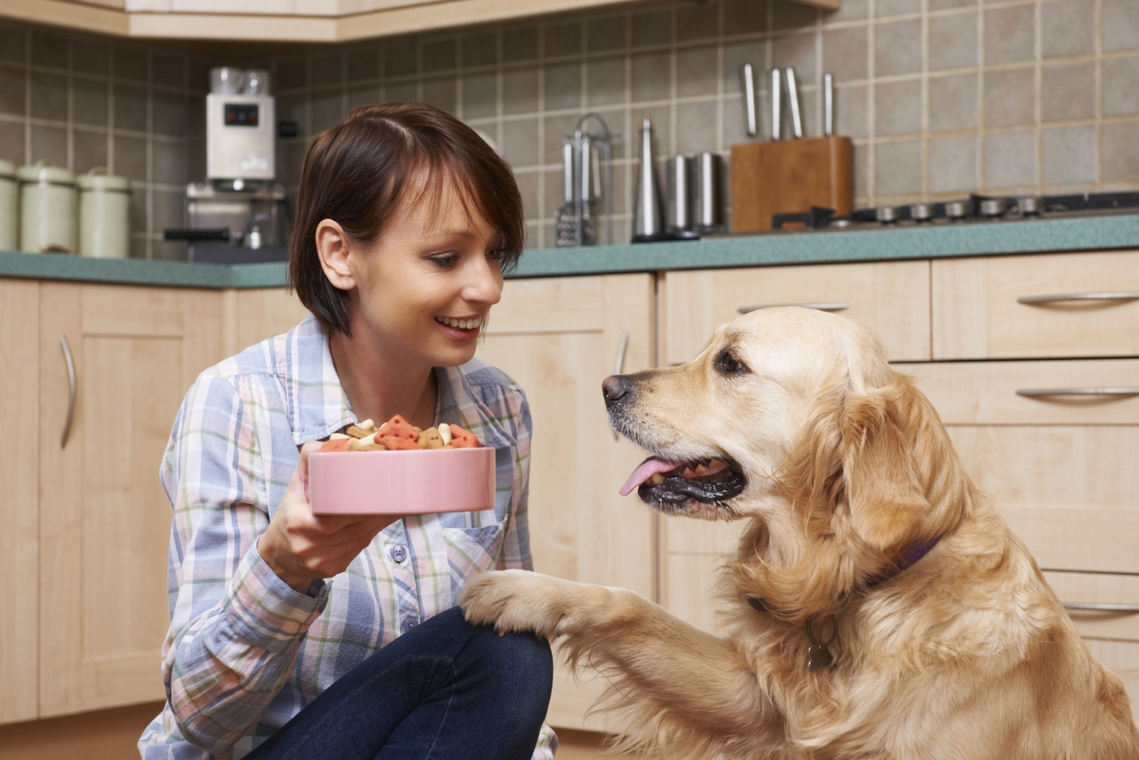 The Healthiest Dog Food: What You Need to Know for a Thriving Pet
